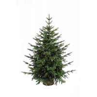 Ель искусственная Раскидистая Премиум 100 см Ель искусственная Раскидистая Премиум 100 см