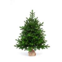 Ель Царь Елка Астерия Премиум 90см 3D Ель Царь Елка Астерия Премиум 90см 3D