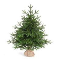 Ель искусственная Царь елка Ева 70 см ЕВ-70 Ель искусственная Царь елка Ева 70 см ЕВ-70
