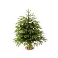 Ель искусственная Царь елка Байкальская 100 см БК-100 Ель искусственная Царь елка Байкальская 100 см БК-100