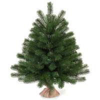 Ель искусственная Царь елка Русская красавица премиум 60 см РКП-60 Ель искусственная Царь елка Русская красавица премиум 60 см РКП-60