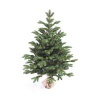 Ель искусственная Алтея премиум 90 см Ель искусственная Алтея премиум 90 см