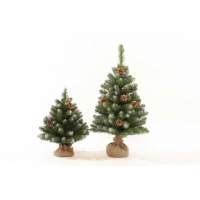 Ель искуственная Царь елка Императорская заснеженная 60 см Ель искуственная Царь елка Императорская заснеженная 60 см