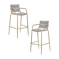 Набор 2 шт Стул барный DOBRIN MILLER GOLD, cветло-серый велюр (135-37)