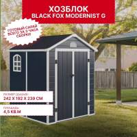Сарай (хозблок) Сарай пластиковый Black Fox Modernist G 4,5м2