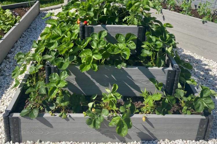 Доска ДПК для грядок NauticPrime 150*25*2950мм, серый-13