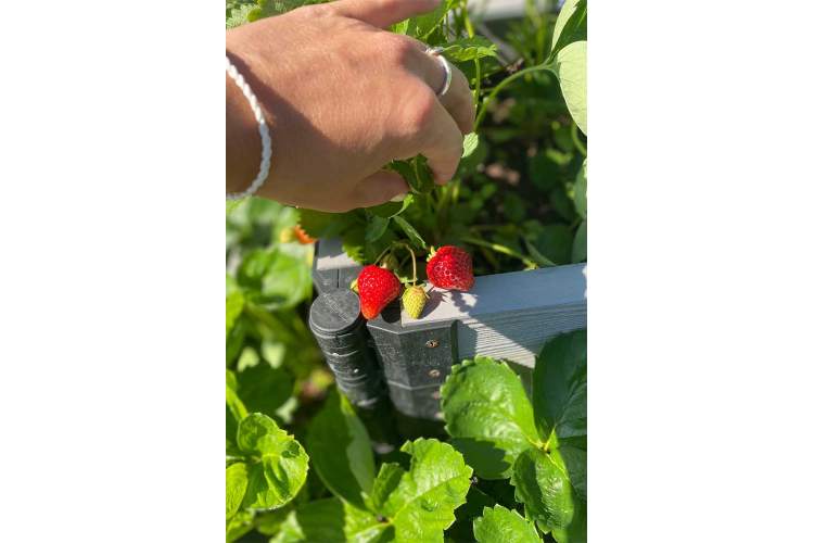 Доска ДПК для грядок NauticPrime 150*25*2950мм, серый-16