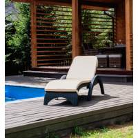 Пластиковый шезлонг Royal Family MARK антрацит (с матрасом)