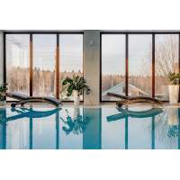 Шезлонги AGATA серые с матрасами