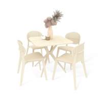 Обеденная группа SHT-DS193 бежевый