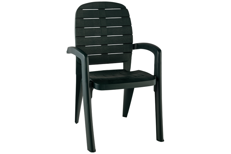 Кресло пластиковое Прованс арт.ЭП 762884тз (темно-зеленое)-1