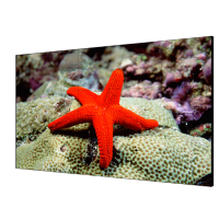 LCD-экран P2.5 DS-D2055LU-Y HIKVISION