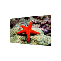 LCD-экран P2.5 DS-D2055LR-G HIKVISION