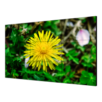 LCD-экран DS-D2055LE-G HIKVISION