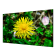 LCD-экран DS-D2055LE-G HIKVISION