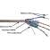 Кабель информационный Lanmaster TWT-5EFTP-XS кат.5E FTP 4 пары 24AWG PVC внутренний 305м серый