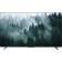 Телевизор QLED/ Телевизор QLED Skyworth 100