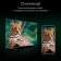 Телевизор OLED/ Телевизор OLED Digma Pro 65