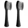 Насадка для зубной щетки/ Насадка для зубной щетки GEOZON 2 PCS BLACK G-HLB01BLK