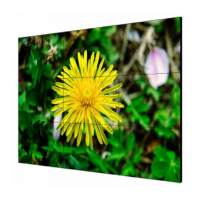 LCD-экран HIKVISION DS-D2055LE-G