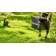 Газонокосилка роторная Greenworks GD60LM51SPK4 (2514307UB)
