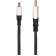 Кабель-переходник Mini DisplayPort M - Display Port M 1.4V 1,5м VCOM CG685-1.5M