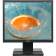 Монитор ACER V176Lb 17'',, Black Matt, 5:4, TN, 1280x1024, 5ms, 250cd, 75Hz, 1xVGA