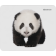 Коврик Defender для компьютерной мыши Wild Animals 220x180x2 мм, 8 видов [50803]