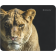 Коврик Defender для компьютерной мыши Wild Animals 220x180x2 мм, 8 видов [50803]