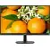 Монитор PHILIPS LCD 23.8'' 243V7QJABF (00/01)  1920х1080(FHD) IPS, nonGLARE, 16:9, 178° /178°, 75Hz, 4ms, 250 cd/m2, 1000:1, 200M:1, 16.7M, VGA, HDMI, DP, Tilt, Speakers, VESA 100x100, Black