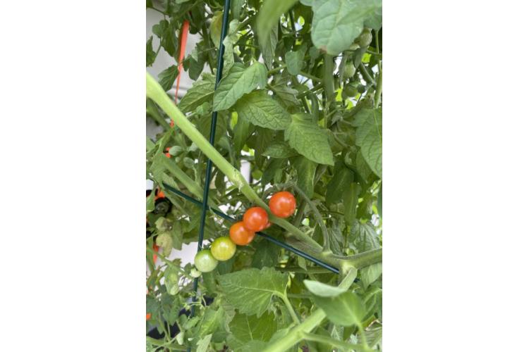 Готовая грядка на ножках Сплендор (Splendor) антрацит-7