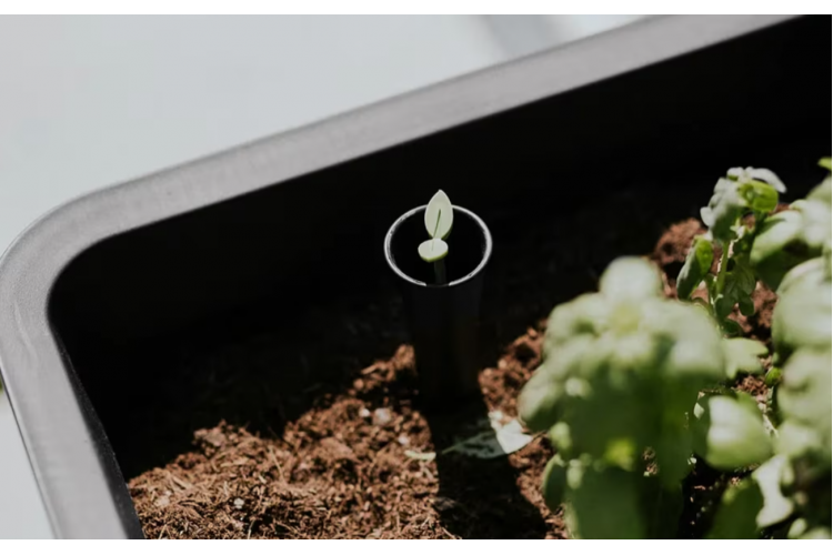 Готовая грядка на ножках Сплендор (Splendor) антрацит-2