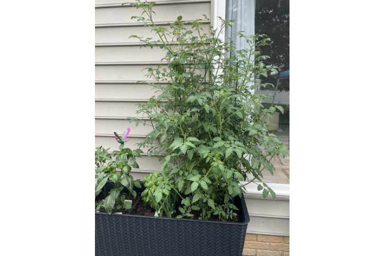 Готовая грядка на ножках Сплендор (Splendor) антрацит