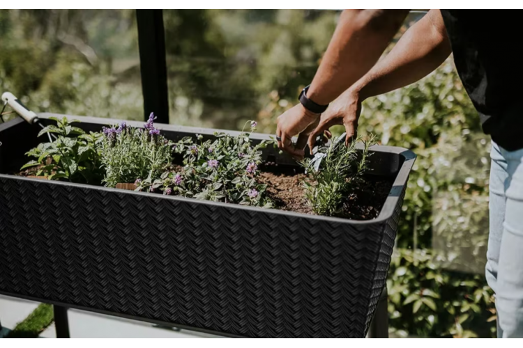 Готовая грядка на ножках Сплендор (Splendor) антрацит-4