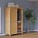 Шкаф раздвижной КЫМОР Светло-коричневый