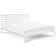 Кровать ТИРАНА 160х200 Белый