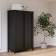 Шкаф раздвижной КЫМОР Черный