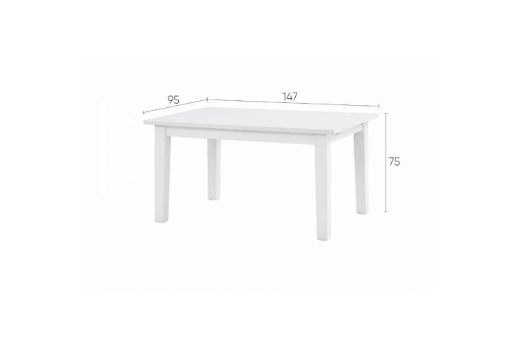 Раздвижной стол ШАНЬ 147/204x95-21