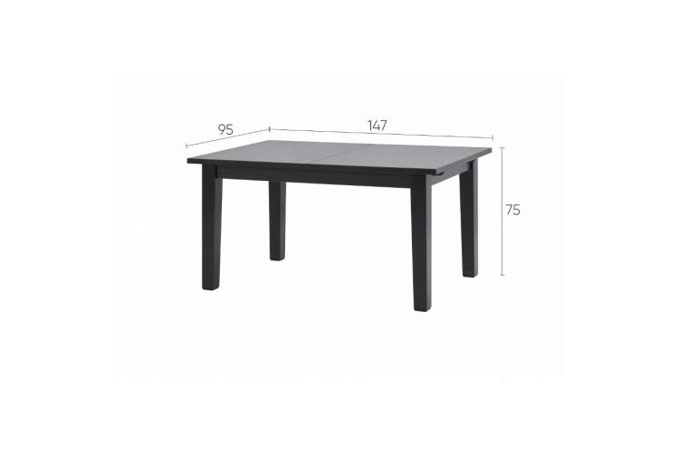 Раздвижной стол ШАНЬ 147/204x95-21