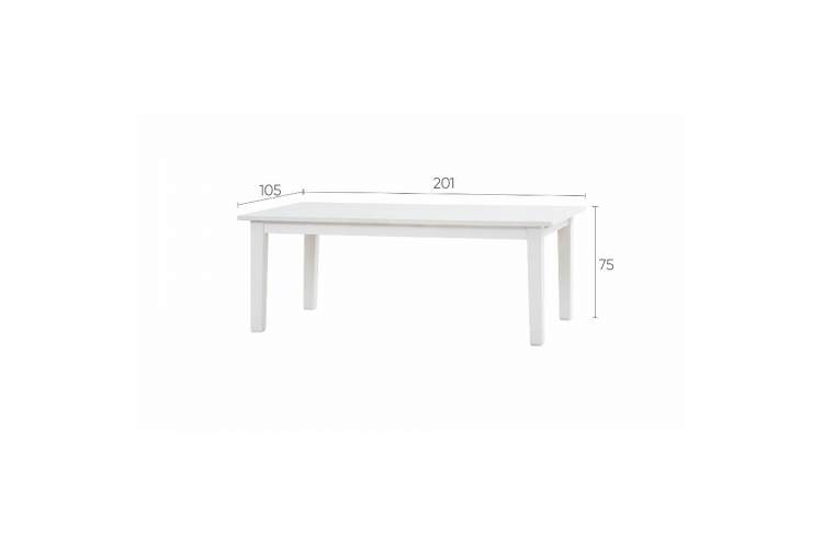 Раздвижной стол ШАНЬ 201/293x105-21