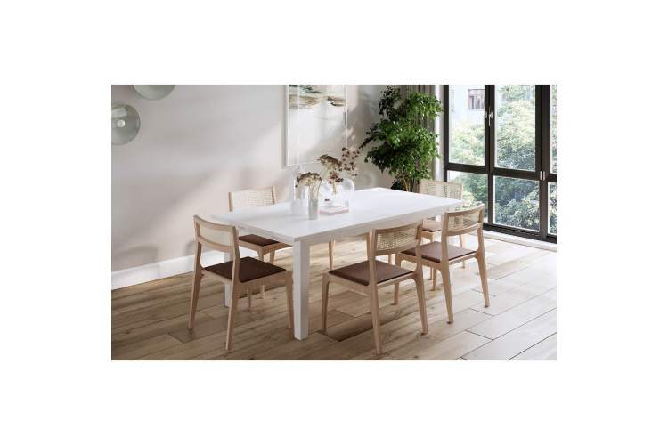 Раздвижной стол ШАНЬ 201/293x105-3