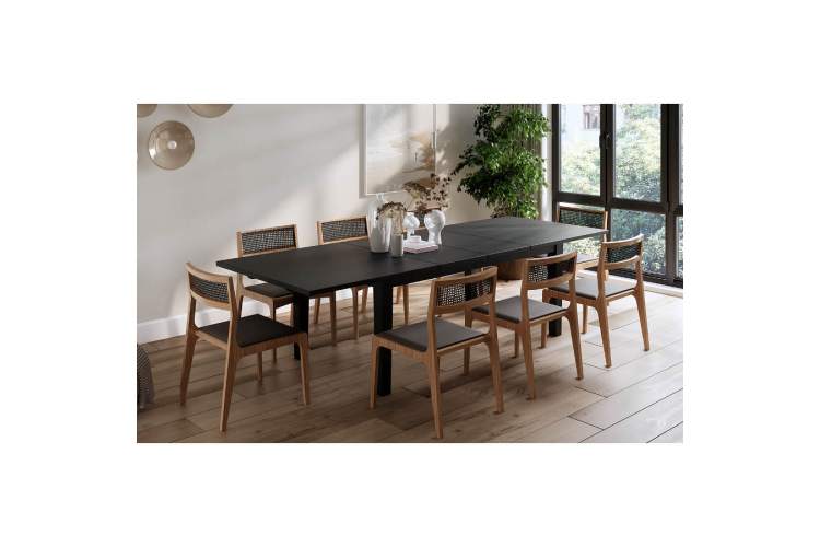 Раздвижной стол ШАНЬ 201/293x105-2