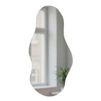 Зеркало настенное фигурное Сельетта-7 110 см х 55.8 см