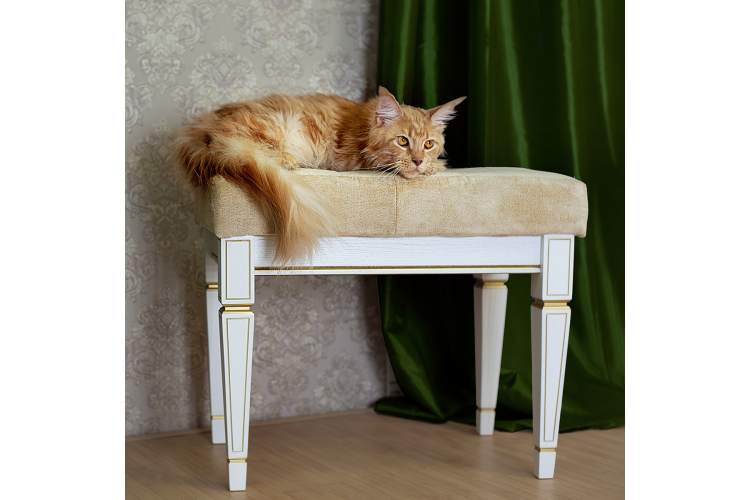 Банкетка Васко В 97Н белый ясень/золото-7