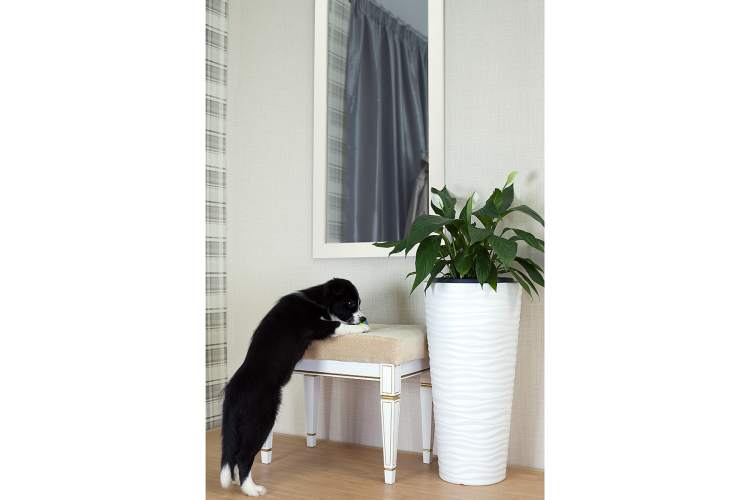 Зеркало настенное BeautyStyle 11 белый 118 см х 60,6 см-4