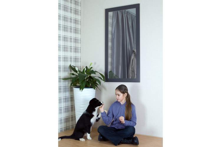 Зеркало настенное BeautyStyle 11 серый графит 118 см х 60,6 см-5