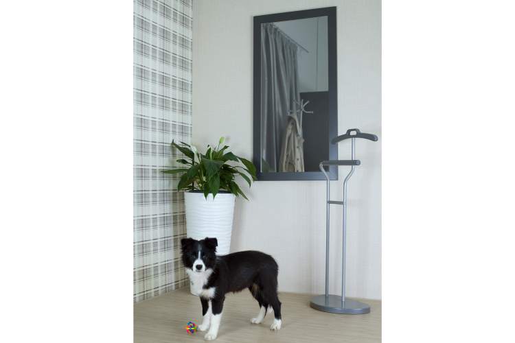 Зеркало настенное BeautyStyle 11 серый графит 118 см х 60,6 см-4