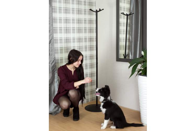 Вешалка напольная Пико 16 черный-10