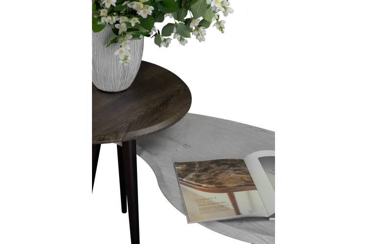 Стол журнальный BeautyStyle 19 дуб дымчатый/венге-7