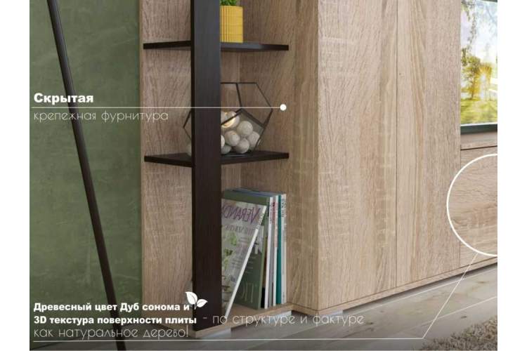 Стенка «Торонто», Дуб Сонома/венге-3
